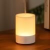 Kinscoter Aromatherapy Essential Oil Diffuser& Color Changing Night Light